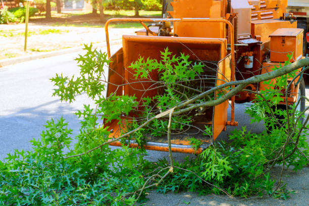 Best Emergency Tree Service  in Fletcher, OK